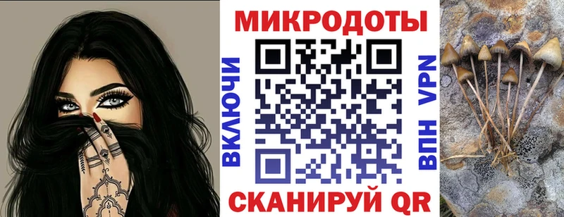 Псилоцибиновые грибы MAGIC MUSHROOMS  Купить закладки  Каменка 